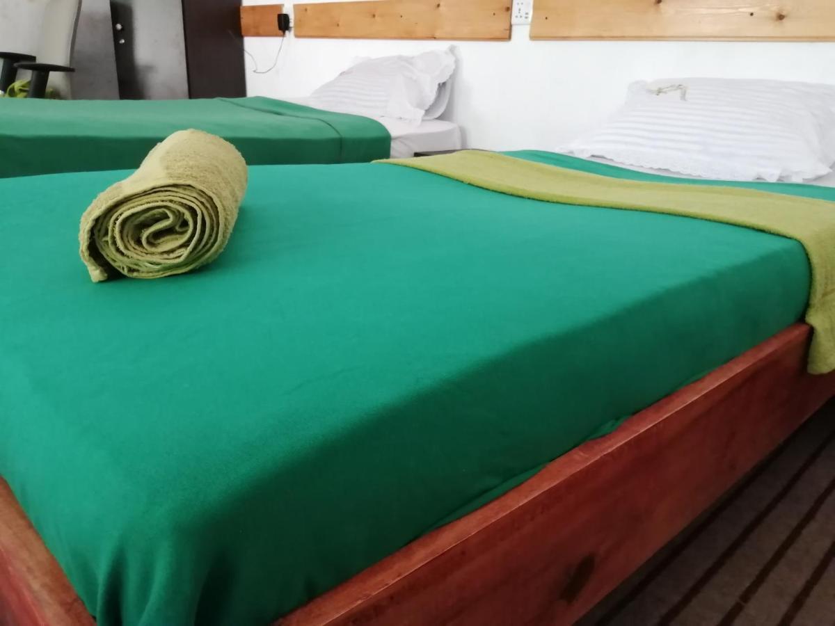 Ella Foret Hostel エクステリア 写真